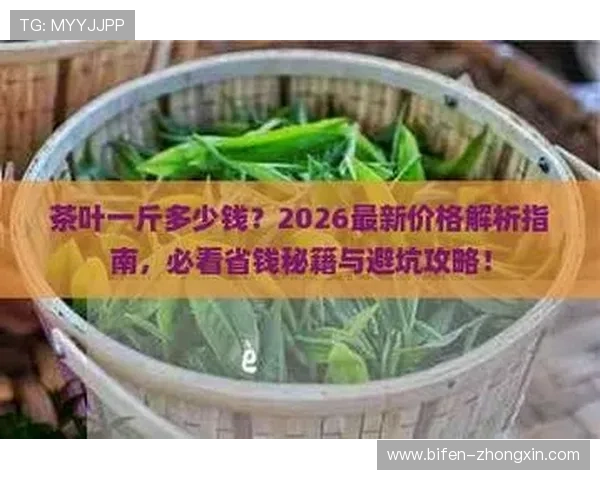 买波胆一个月收入避坑指南品牌入口下载评测